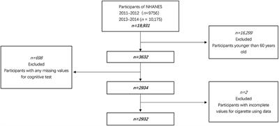 Smoking Status and Cognitive Function in a National Sample of Older Adults